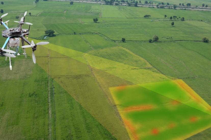 agriculture shutterstock