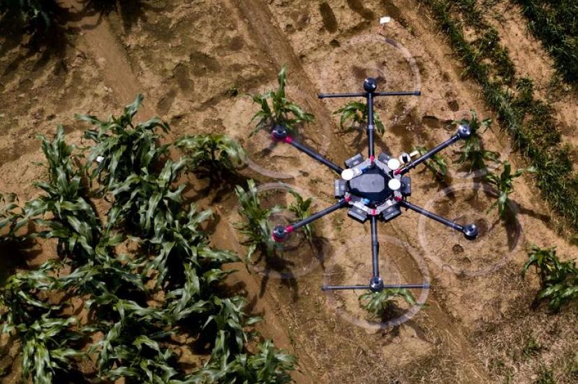 Research from the PhenoRob Cluster of Excellence at the University of Bonn suggests the use of drones and artificial intelligence (AI) could improve the sustainability of agriculture