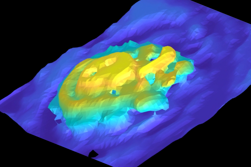 3D terahertz near-field imaging of the cochlear duct