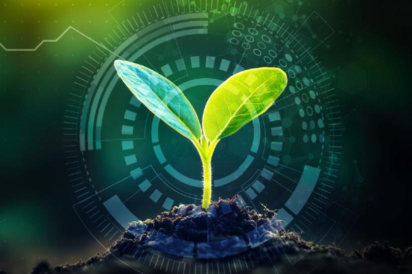 The system detects how well herbicides kills weeds