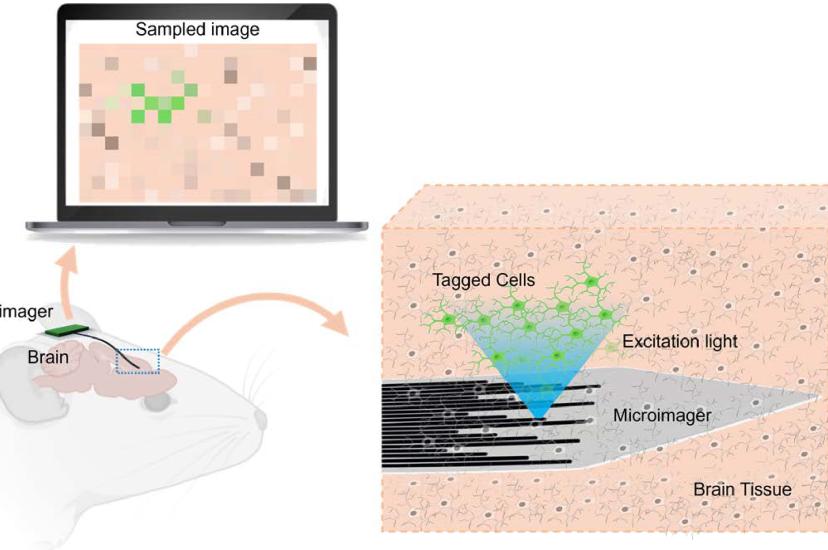 Envisioned schematic design of the microimager