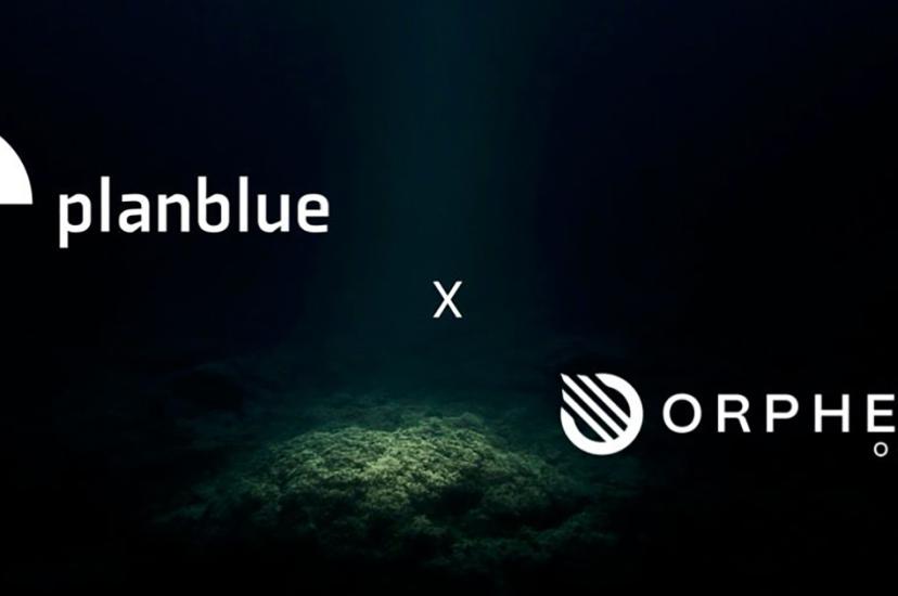 PlanBlue and Orpheus Ocean