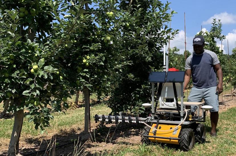 Testing a robotic precision sprayer for weed control in an apple orchard