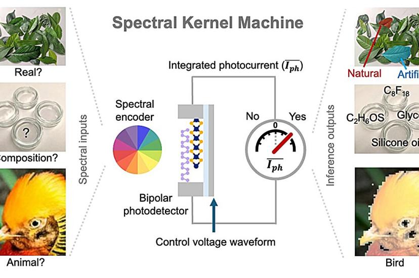 Spectral kernal machine