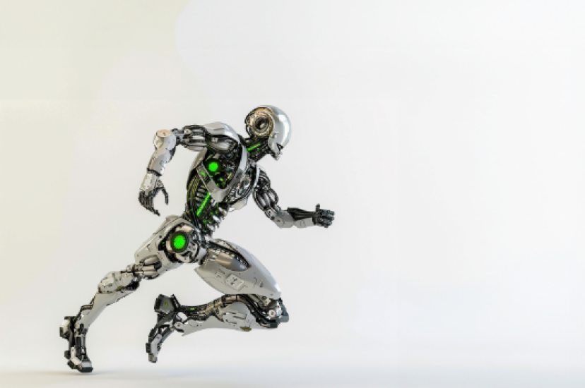 Humanoid robot