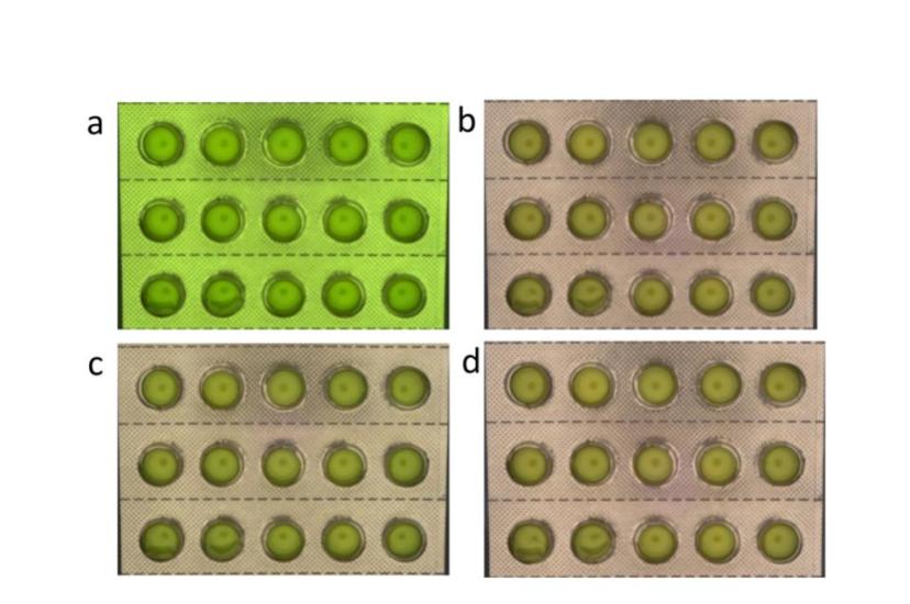 a) Colour without white balance; b) Colour after implementation White balance; c) Image quality with 3x3 demosaicing; c) Image quality with patented Baumer 5x5 demosaicing (Credit: Baumer Optronic)