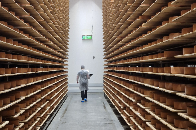 Cheese maturation room