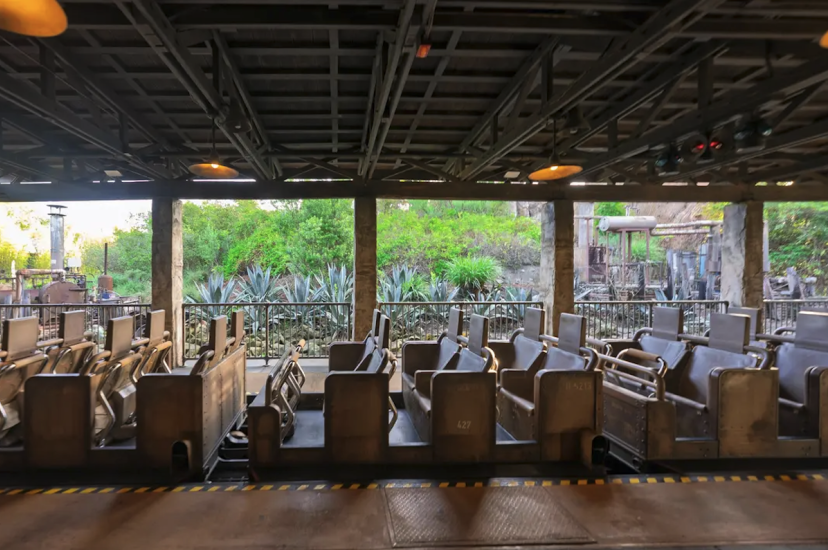 Disney's Expedition Everest ride