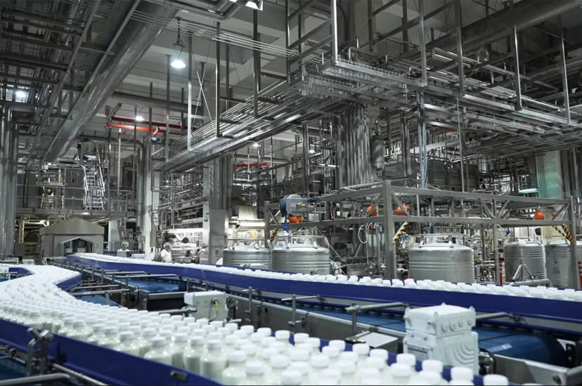 Sachsenmilch Leppersdorf dairy