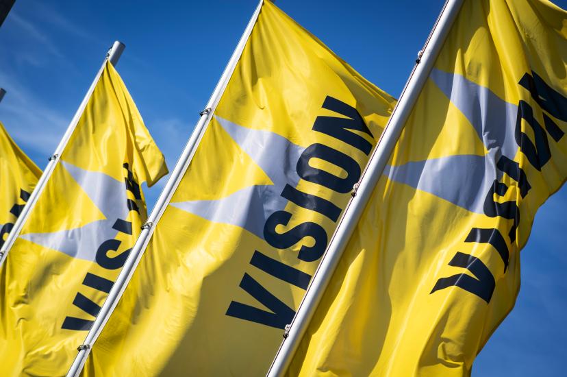 VISION Flags