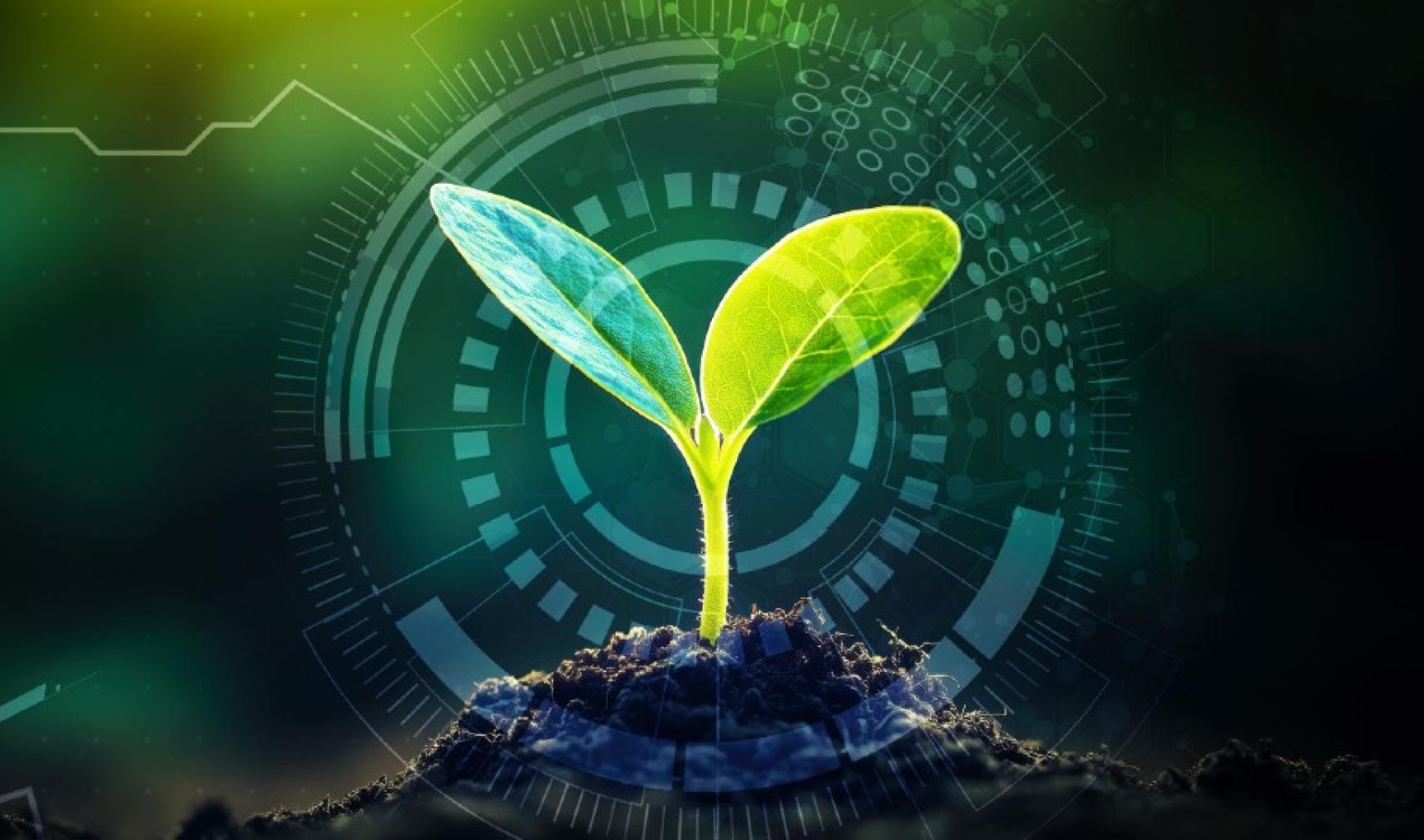 The system detects how well herbicides kills weeds