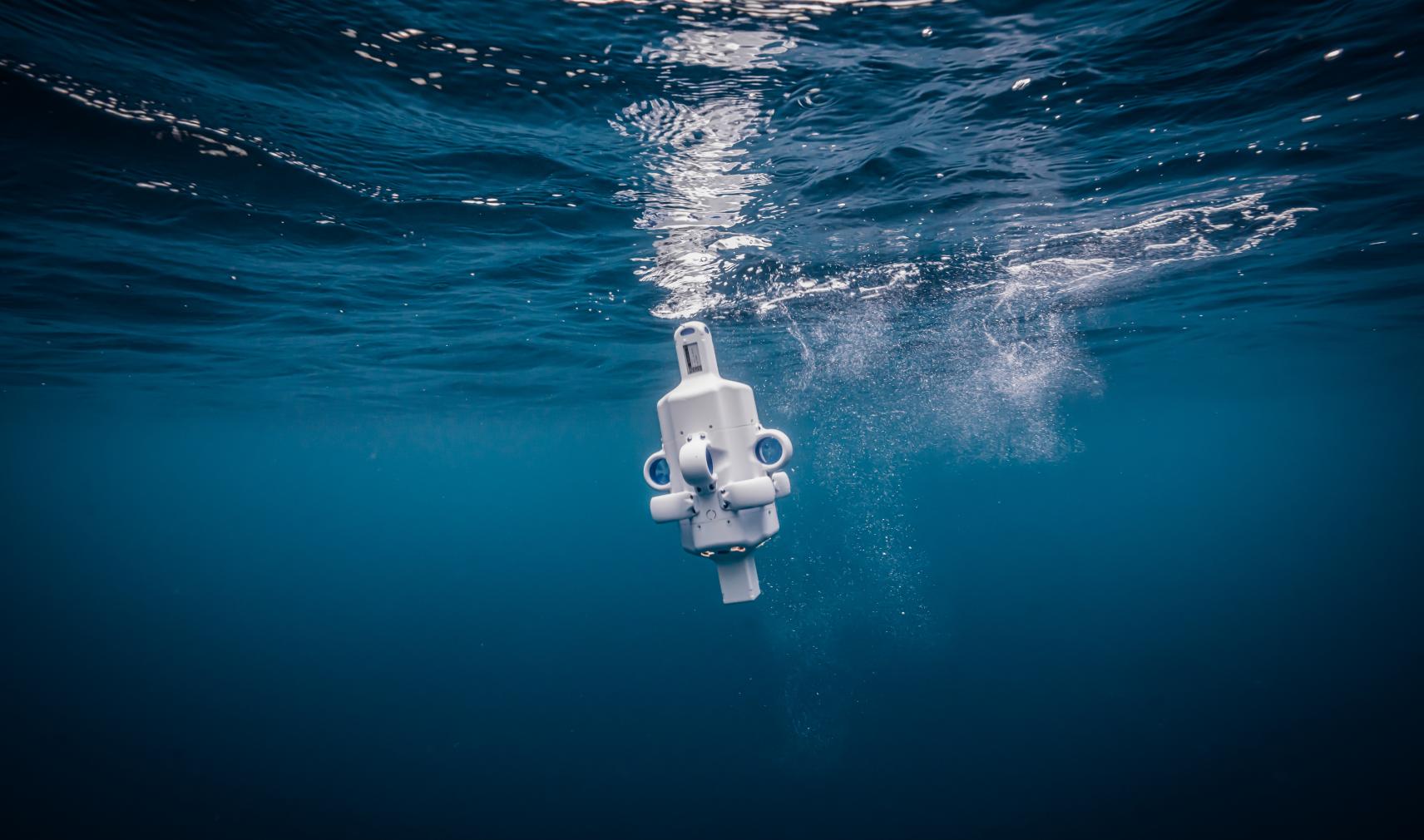 Hydrus AUV entering the water