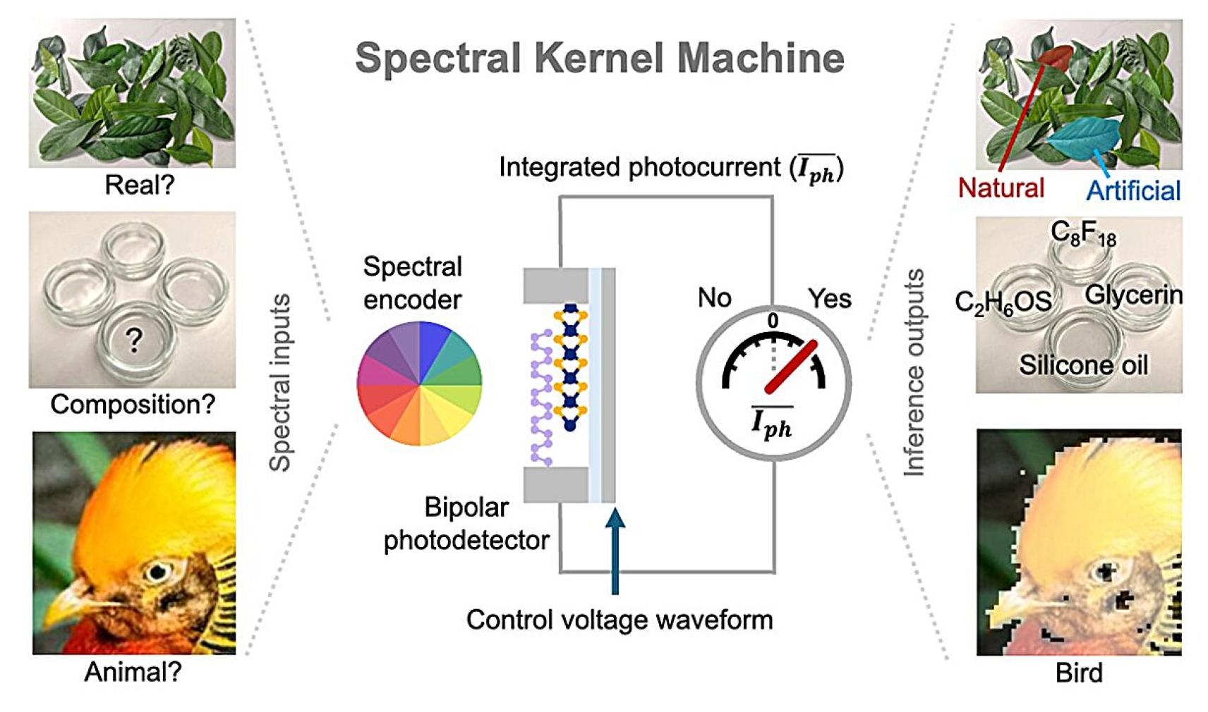 Spectral kernal machine