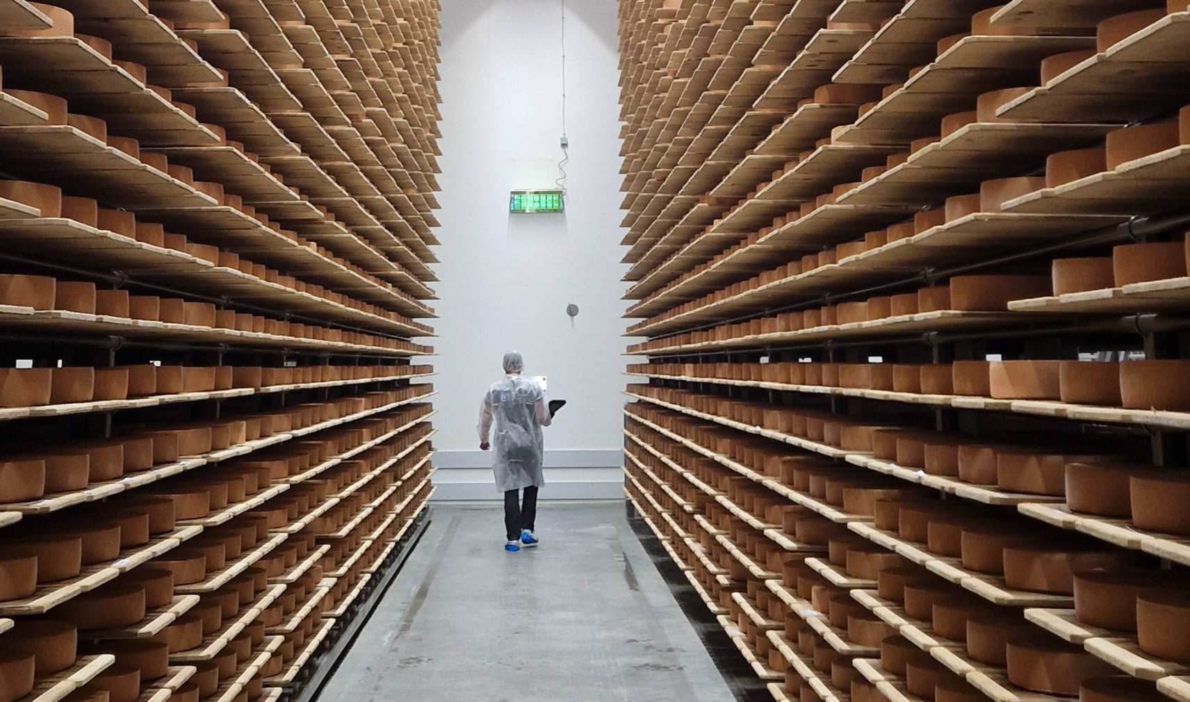 Cheese maturation room