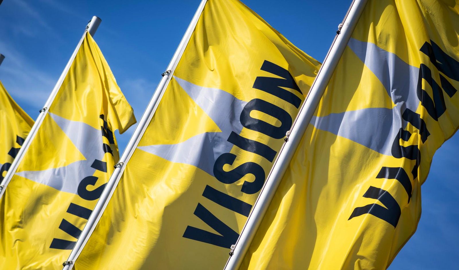 VISION Flags