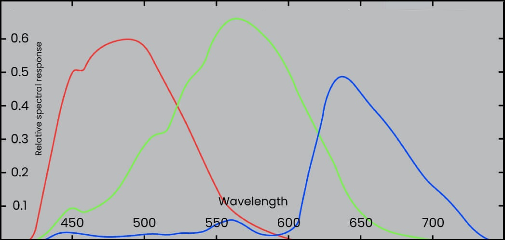 The range of wavelengths an image sensor can detect is determined by its spectral sensitivity
