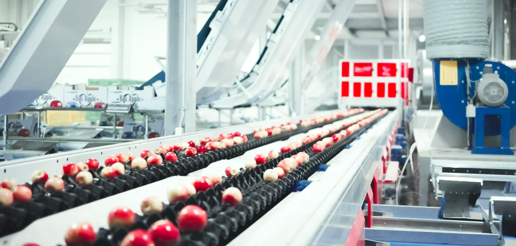 The new spectroscopy approach could help to analyse the spectral data of apple species benefitting industrial processes. (Image: Quadra Machinery) 