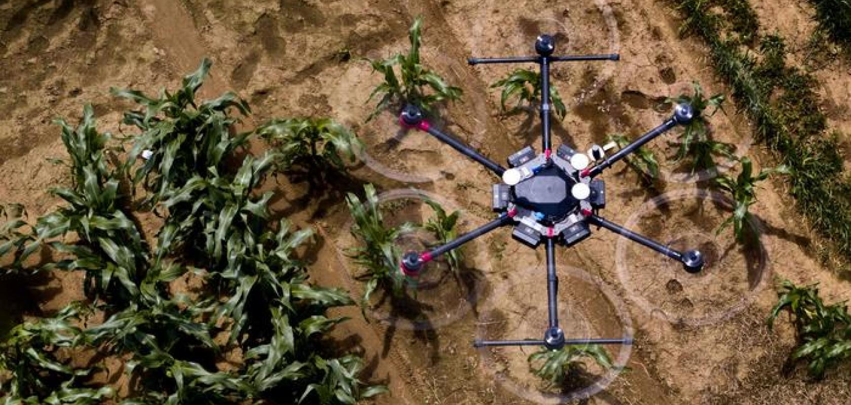 Research from the PhenoRob Cluster of Excellence at the University of Bonn suggests the use of drones and artificial intelligence (AI) could improve the sustainability of agriculture