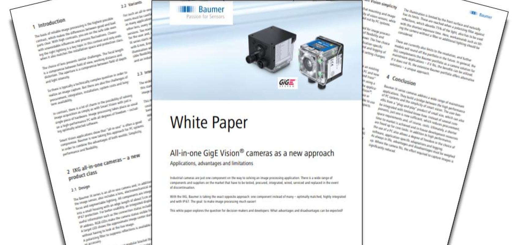 Baumer November White Paper