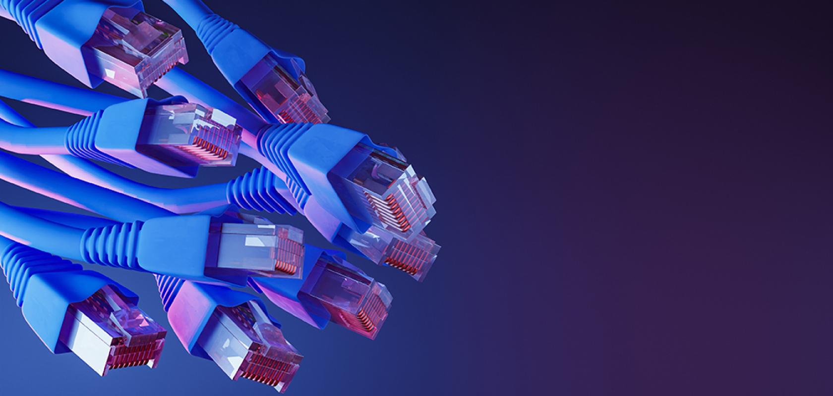 a series of ethernet cables against a purple background