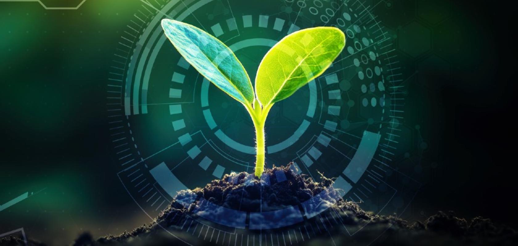 The system detects how well herbicides kills weeds