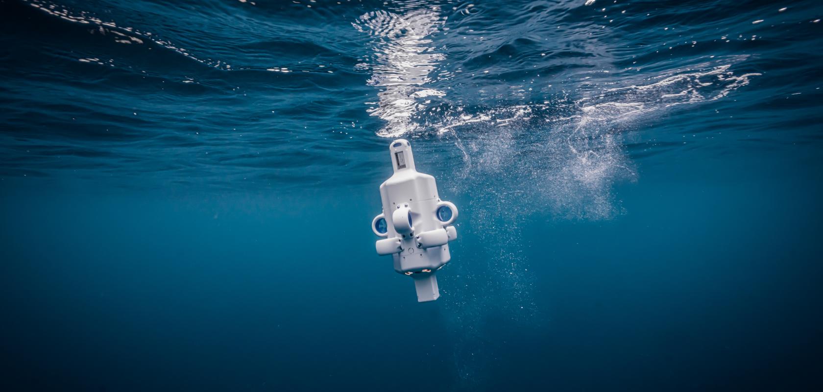 Hydrus AUV entering the water