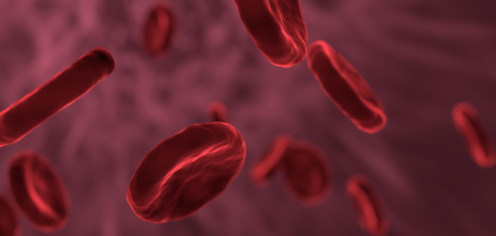 De-oxygenated red blood cells 