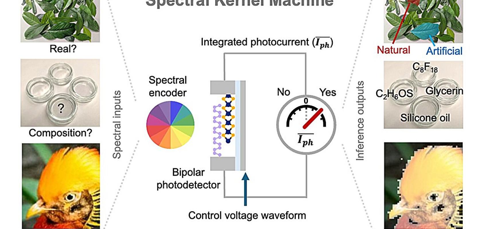 Spectral kernal machine