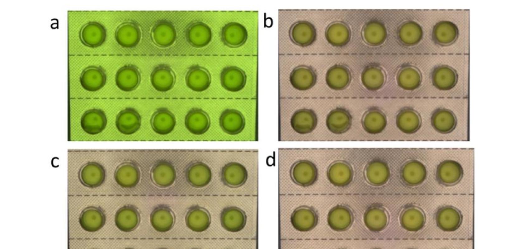a) Colour without white balance; b) Colour after implementation White balance; c) Image quality with 3x3 demosaicing; c) Image quality with patented Baumer 5x5 demosaicing (Credit: Baumer Optronic)