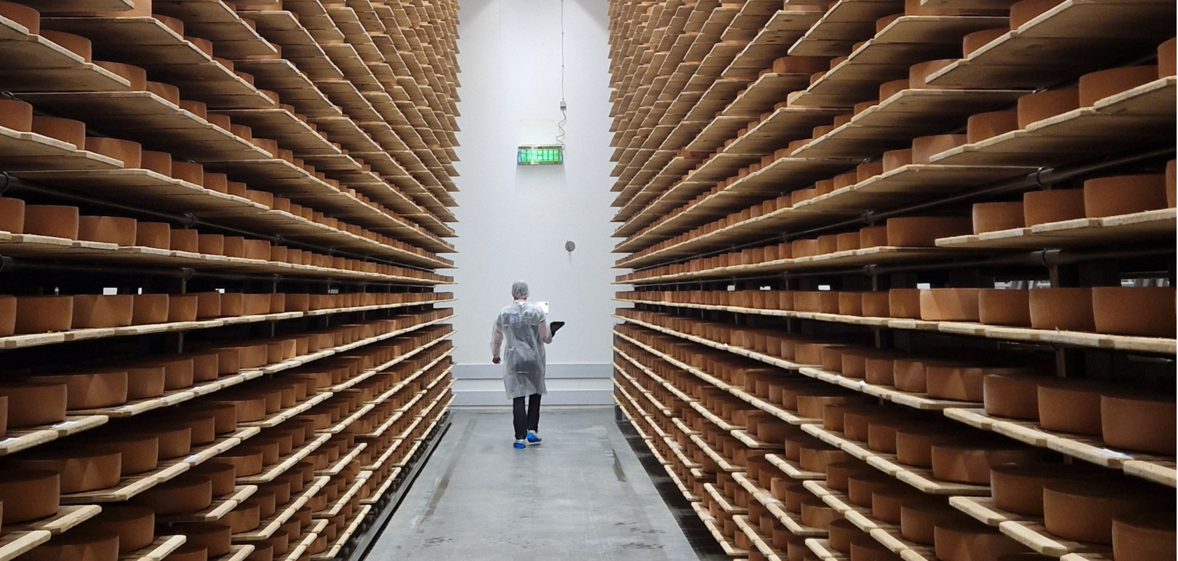 Cheese maturation room