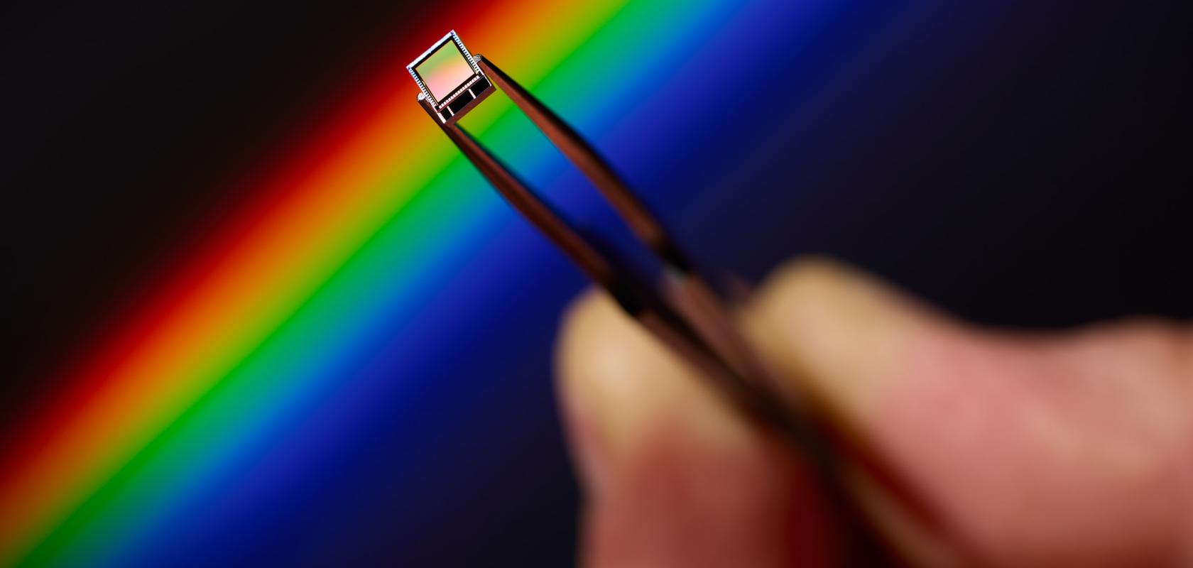 Litavis image sensor in tweezers