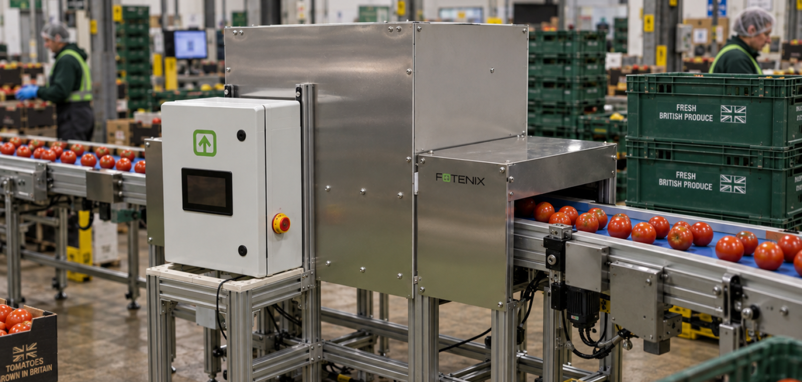 Fotenix AQC on tomato sorting line