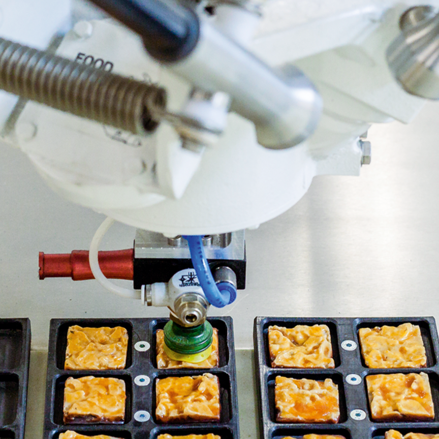 The primary use of AI is is for inspection