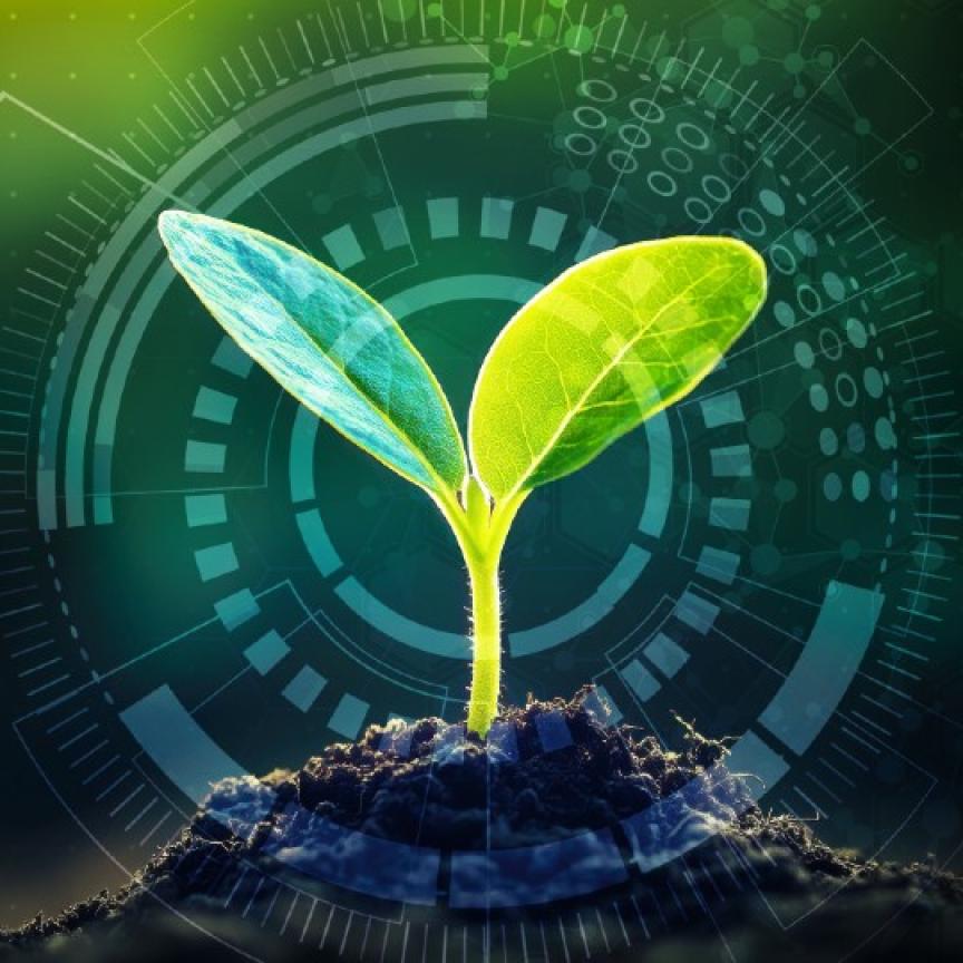 The system detects how well herbicides kills weeds