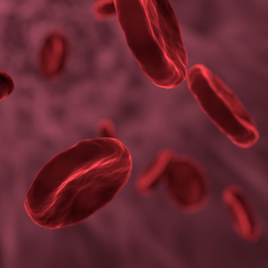 De-oxygenated red blood cells 