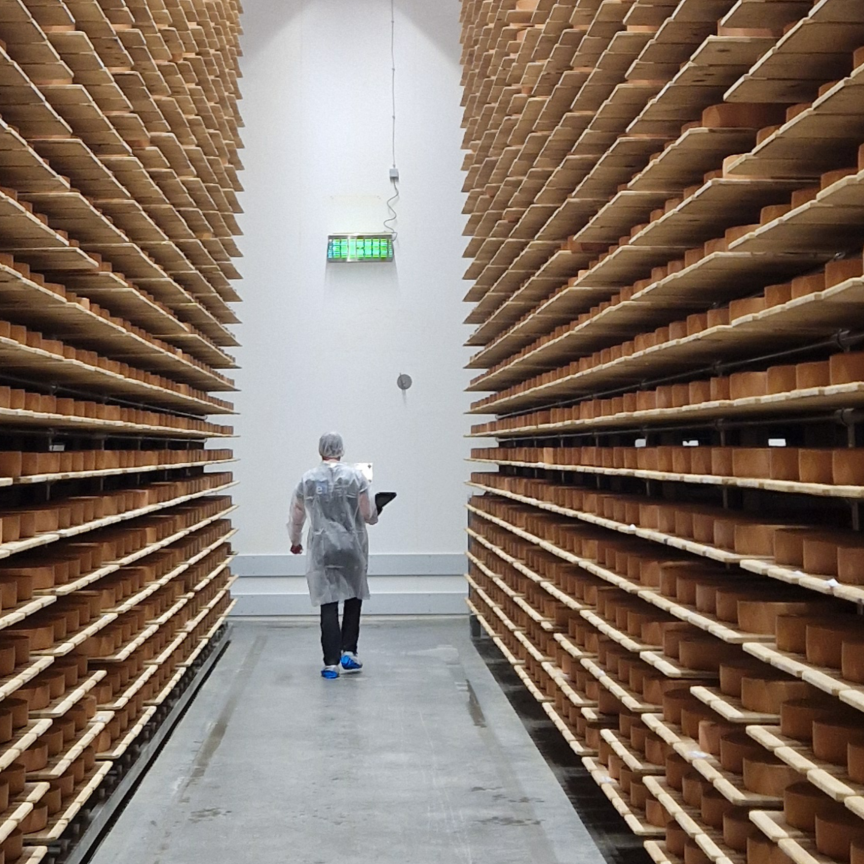 Cheese maturation room