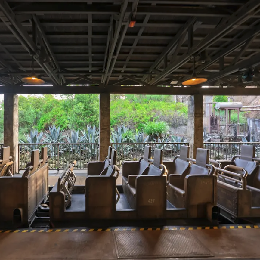 Disney's Expedition Everest ride