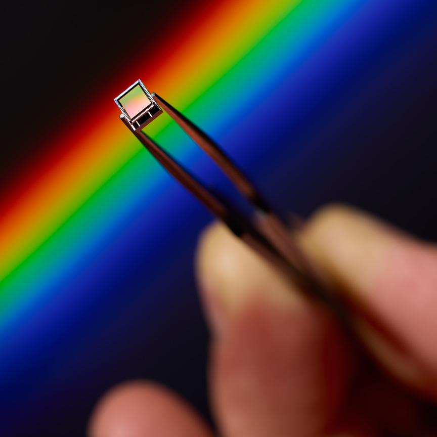 Litavis image sensor in tweezers