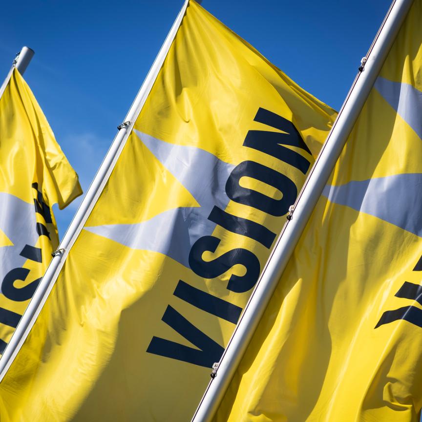 VISION Flags
