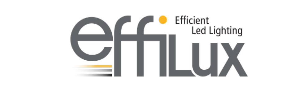 effilux-logo-visionaries